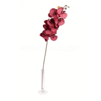 Orchidea ks 95cm