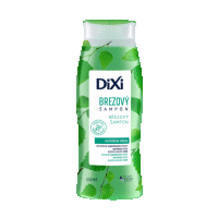 Brezový šampón 250 ml DIXI