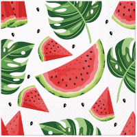 Obrúsky 33x33 Melón 20ks/bal  PAW