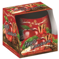Vonná sviečka v skle 100g Apple Cinnamon SANTO CANDLES