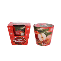 Vonná sviečka v skle 100g Apple Cinnamon SANTO CANDLES