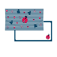 Darčeková obálka na peniaze LIENKA 21x10cm ALVARAK